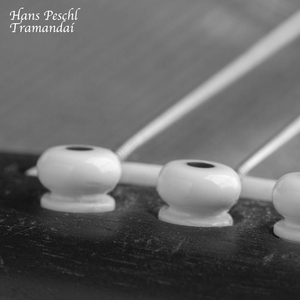 日韩在线视频在线
